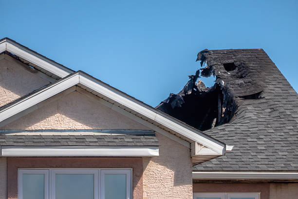 Top rated local Board Up Services specialists in Allen, TX